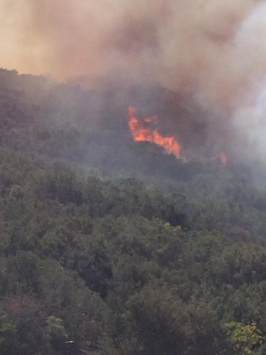 Kestel Köyü Orman Yangını
