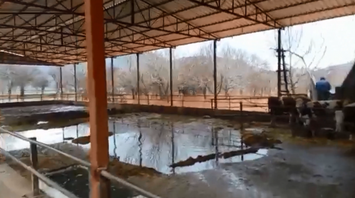 Bucak'ta dere suyu taştı, evler su altında kaldı