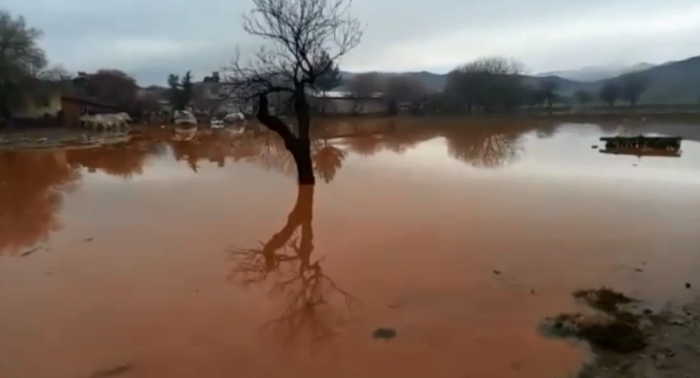 Bucak'ta dere suyu taştı, evler su altında kaldı