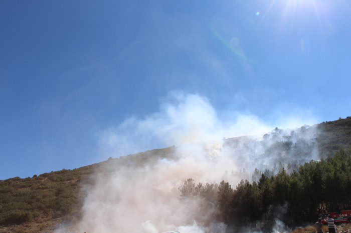 Kestel Köyü Orman Yangını