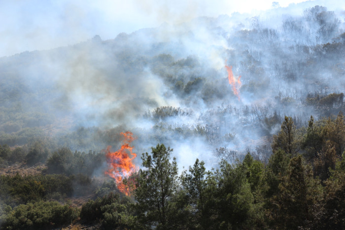 Kestel Köyü Orman Yangını