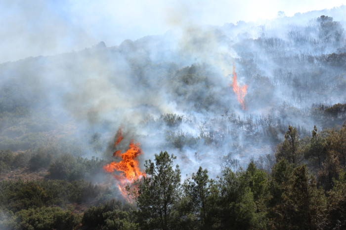 Kestel Köyü Orman Yangını