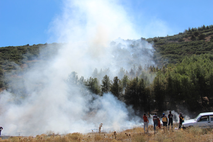 Kestel Köyü Orman Yangını