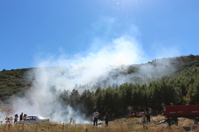 Kestel Köyü Orman Yangını