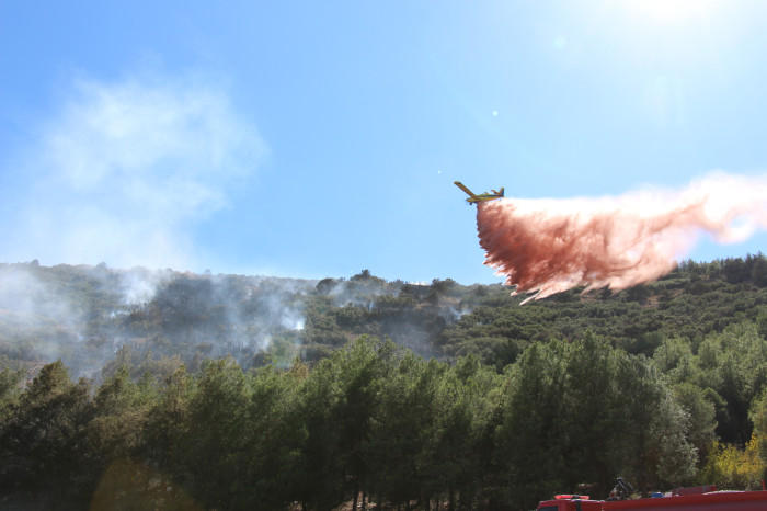 Kestel Köyü Orman Yangını