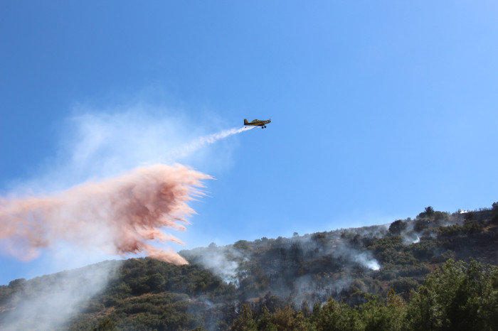 Kestel Köyü Orman Yangını