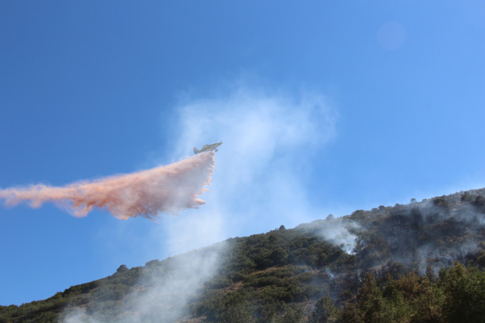Kestel Köyü Orman Yangını
