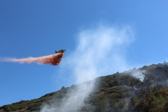 Kestel Köyü Orman Yangını