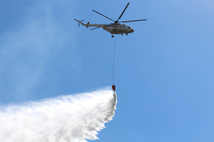 Kestel Köyü Orman Yangını
