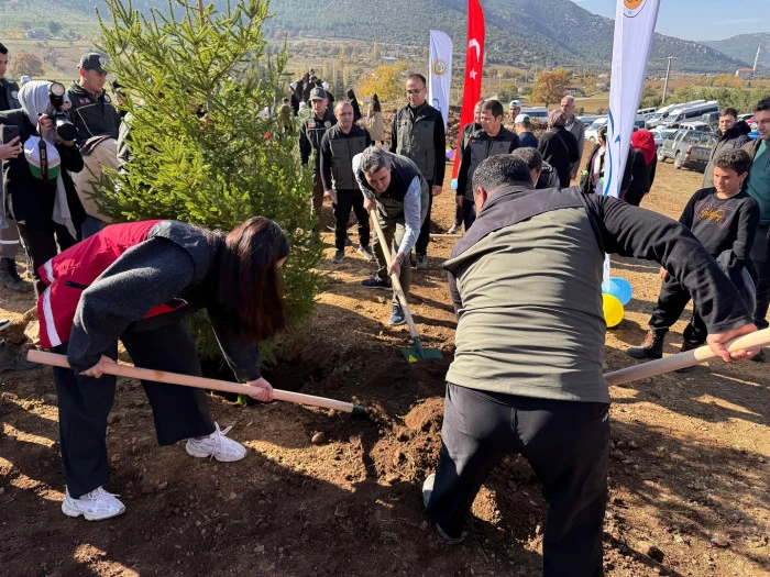 Bucak’ta yüzlerce fidan toprakla buluştu