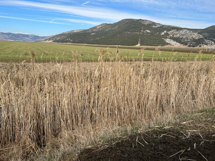 Bucak’ta Aşırı Yağışlarda Kestel Ovasında Ekili Sahalar Sular Altında Kaldı
