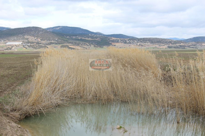 Bucak Ovası su altında