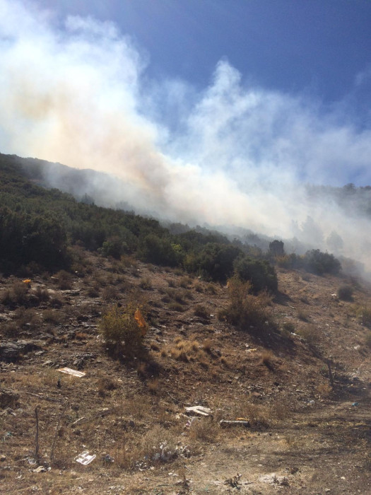 Kestel Köyü Orman Yangını