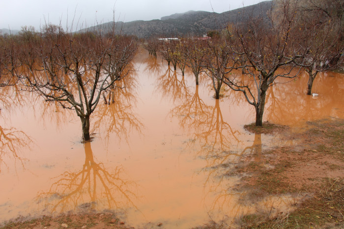 Bucak’ta Boğazköy’de dere suları taştı, evler ve ahırlar sular altında kaldı