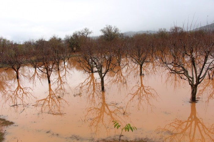 Bucak’ta Boğazköy’de dere suları taştı, evler ve ahırlar sular altında kaldı