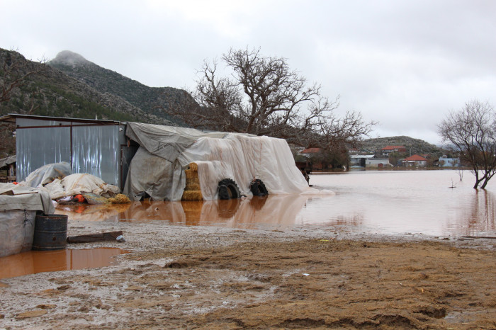 Bucak’ta Boğazköy’de dere suları taştı, evler ve ahırlar sular altında kaldı