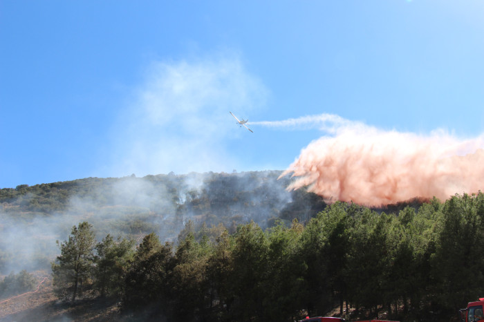 Kestel Köyü Orman Yangını