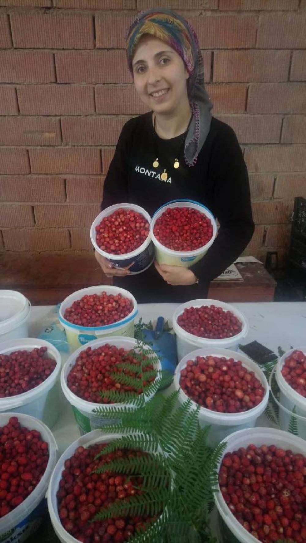 Dağ çileğinin kilosu 150 lira 