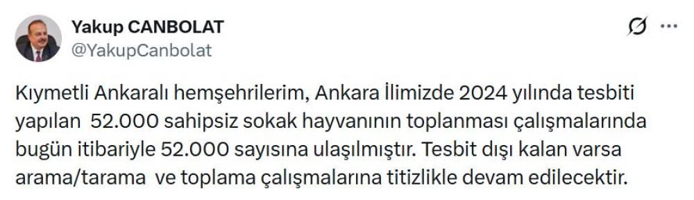 Ankara'da 52 bin sahipsiz sokak hayvanı toplandı 