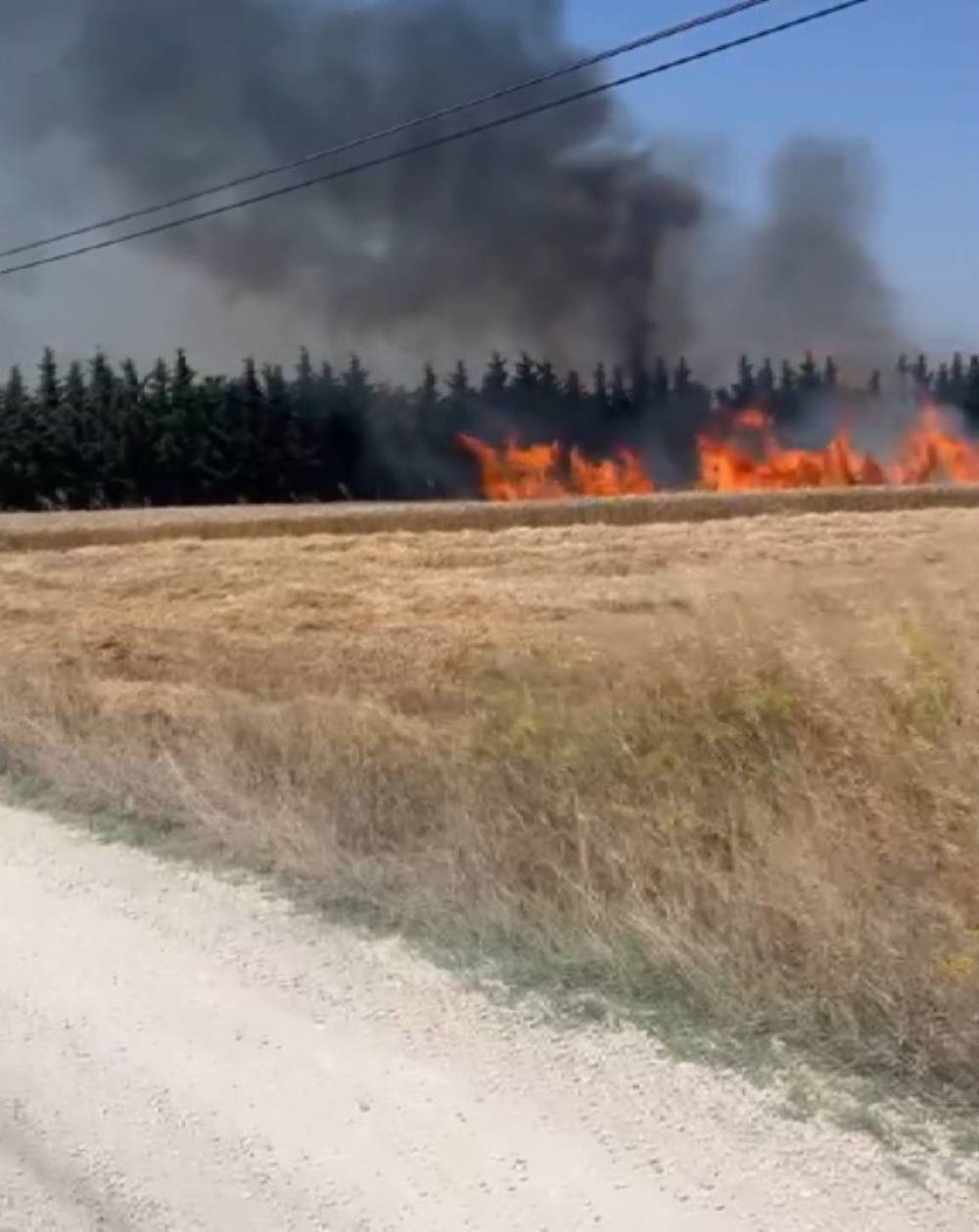 Silivri'de elektrik direği kesimi sırasında &ccedil;ıkan yangın s&ouml;nd&uuml;r&uuml;ld&uuml;