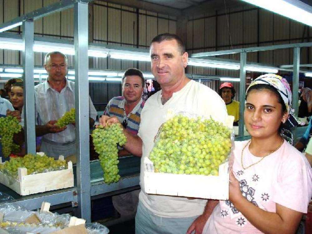 'Üzüm ihracatı yüzde 33 arttı'