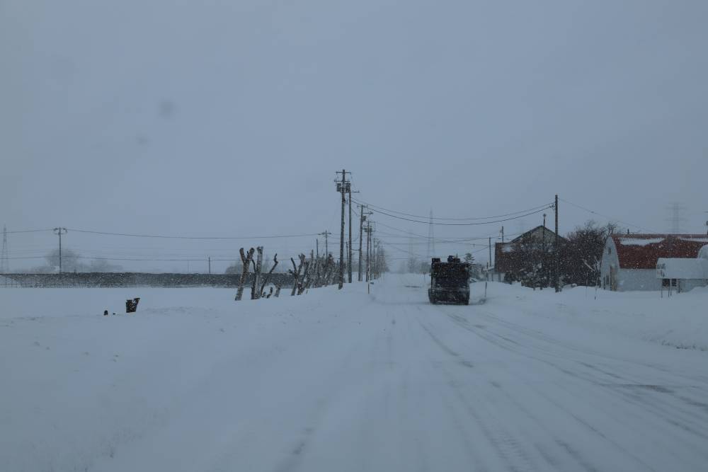 Japonya'da yoğun kar yağışı nedeniyle hayatını kaybedenlerin sayısı 30'a y&uuml;kseldi