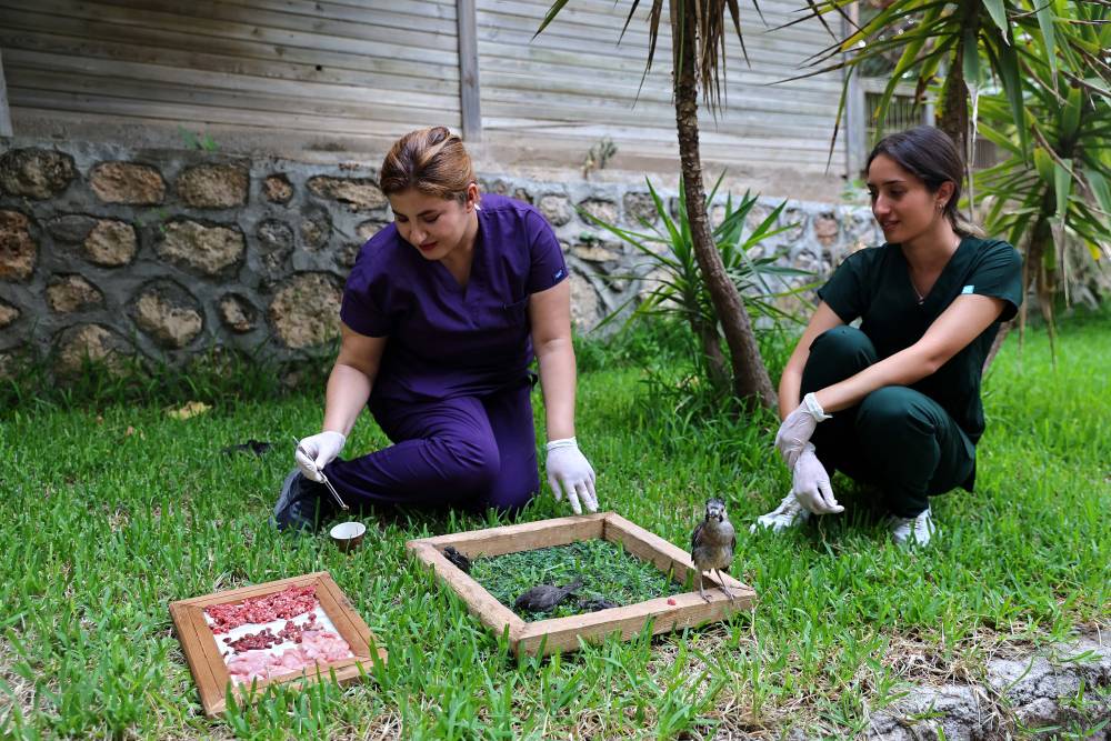 Antalya Doğal Yaşam Parkı&rsquo;nda tam donanımlı klinik hizmeti 