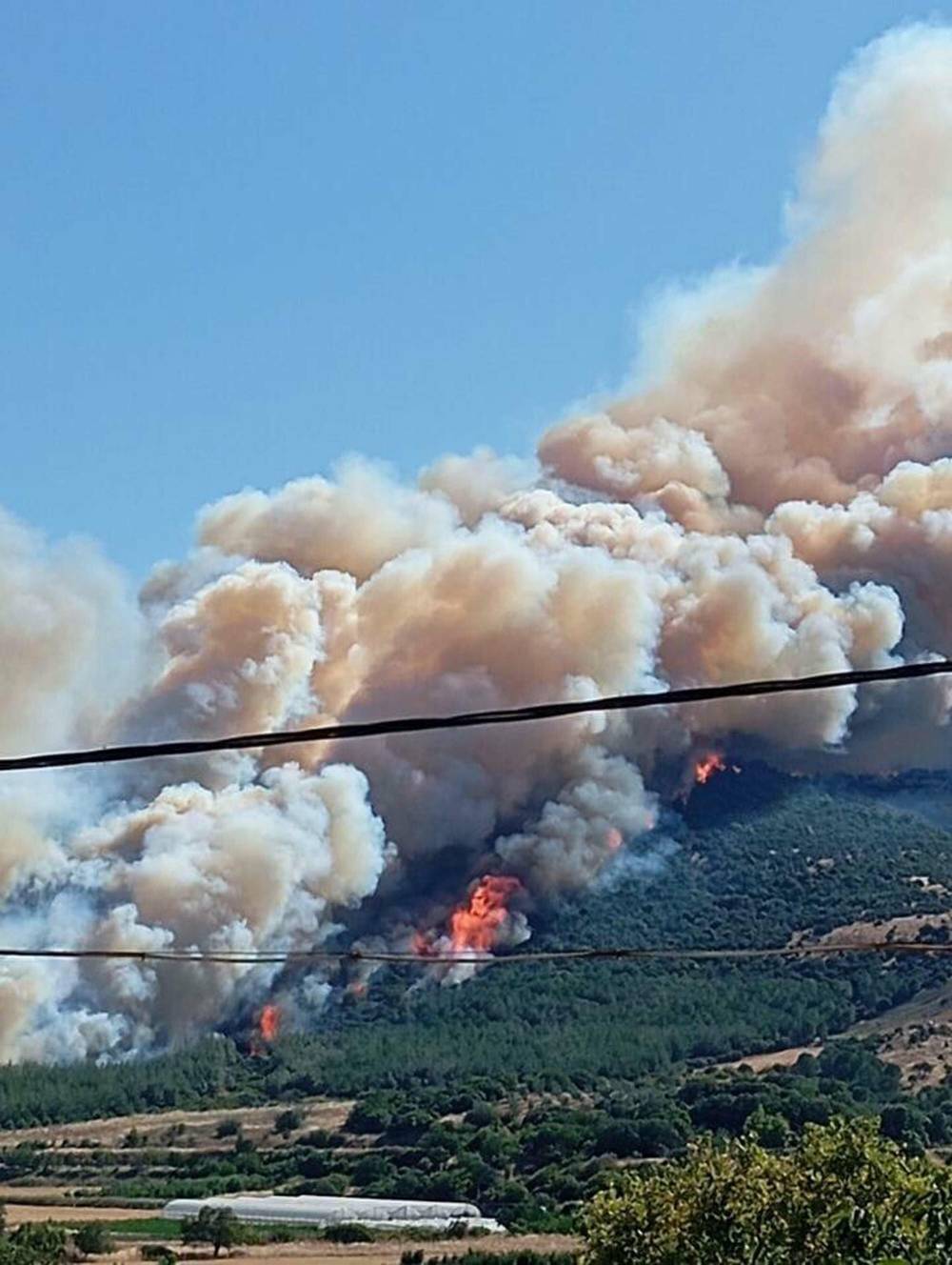 &Ccedil;anakkale'de 2 ayda &ccedil;ıkan orman yangınlarında 541 hektar alan zarar g&ouml;rd&uuml;