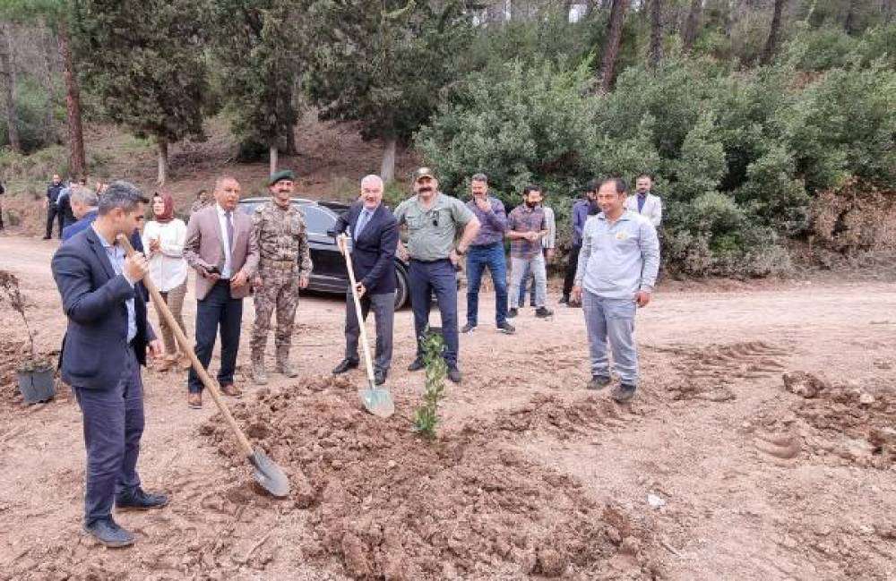 Polis Hatıra Ormanı'nda 177 fidan dikildi