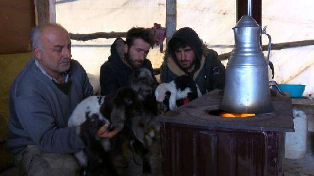 Soğuk havada kuzulara bebek gibi bakıyorlar