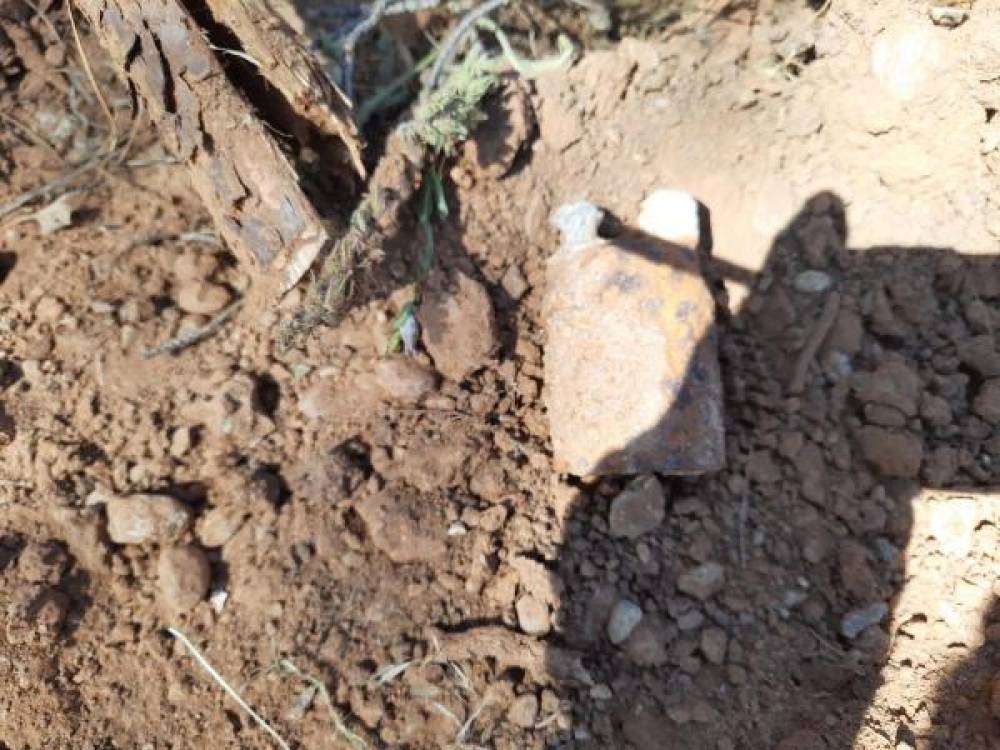 Ormanda patlamamış el bombası bulundu