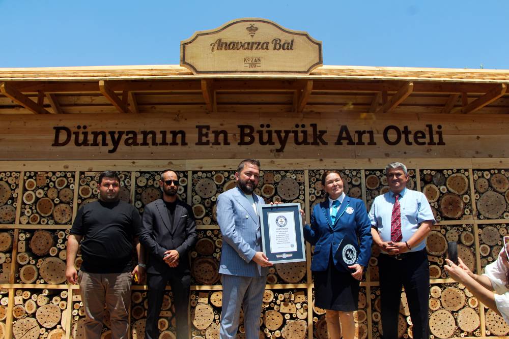 Adana'da hayata ge&ccedil;irilen 'arı oteli'  d&uuml;nyanın en b&uuml;y&uuml;ğ&uuml;; Guinness tescil etti