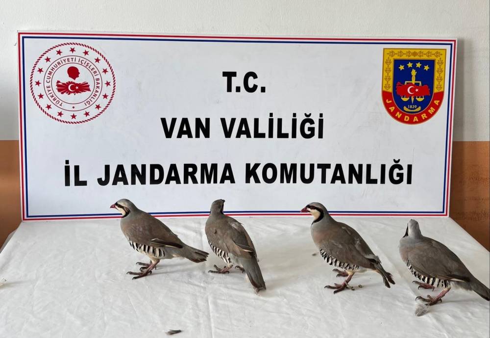 Kınalı keklik avına 85 bin TL ceza