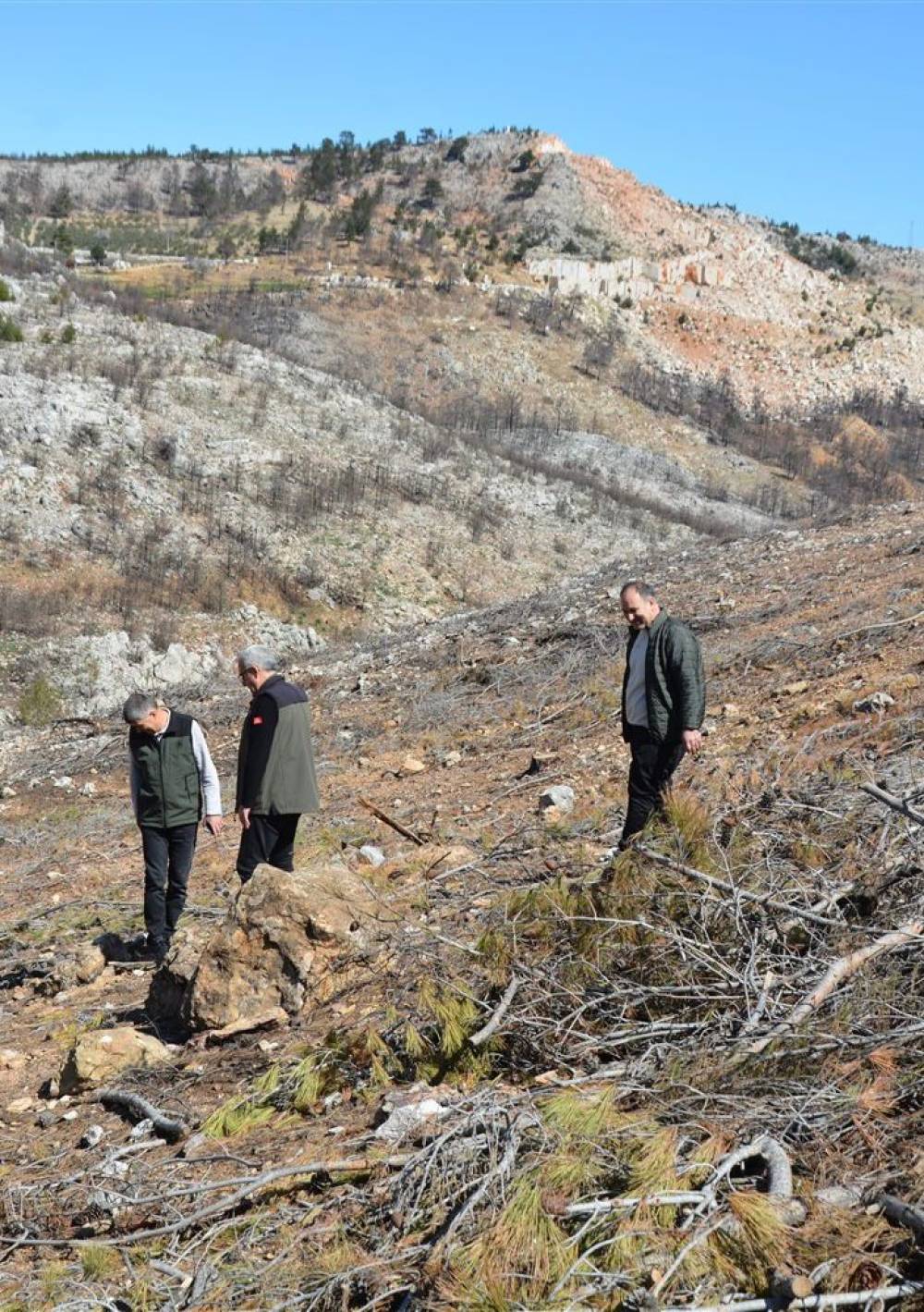 Yanan sahalarda ilk &ccedil;imlenmeler g&ouml;r&uuml;ld&uuml;