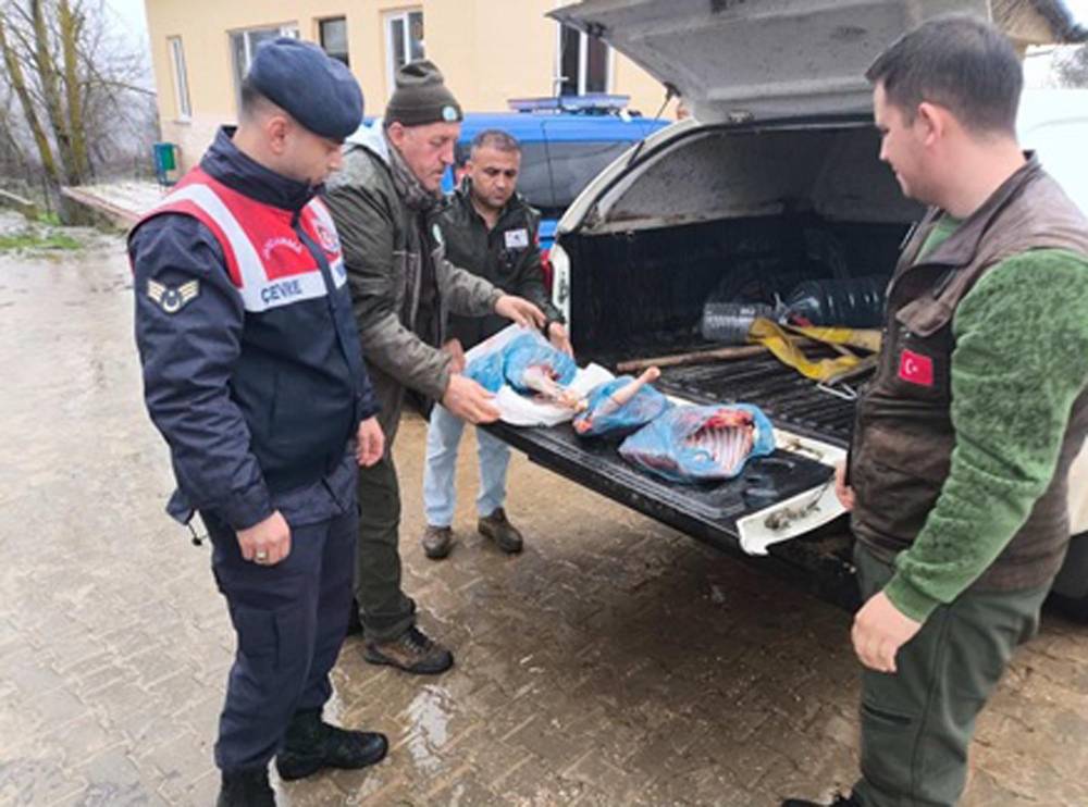Kırklareli'de karaca avlayan kişiye 50 bin lira ceza