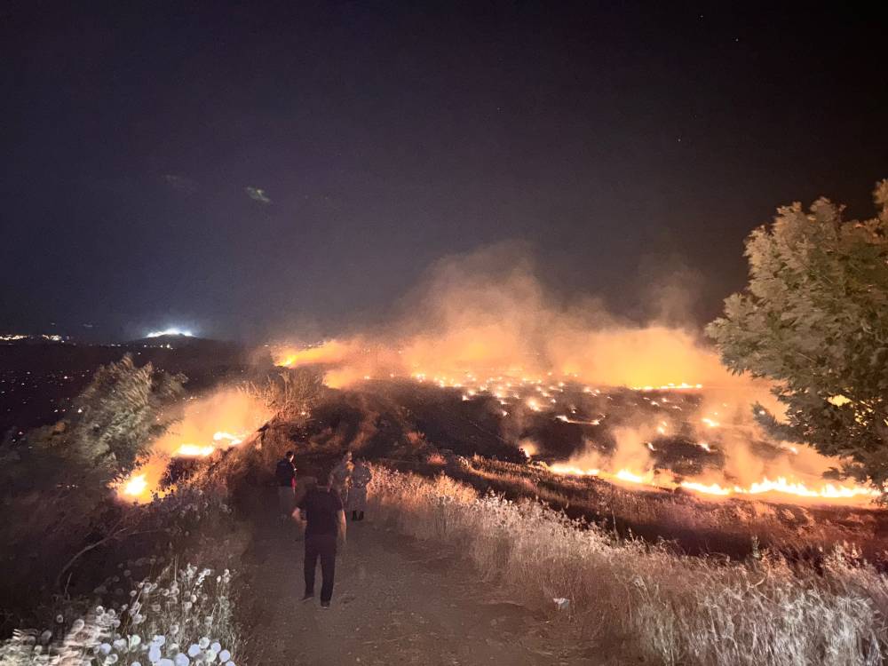 Hatay'da anız yangını, zeytin bah&ccedil;elerine zarar verdi