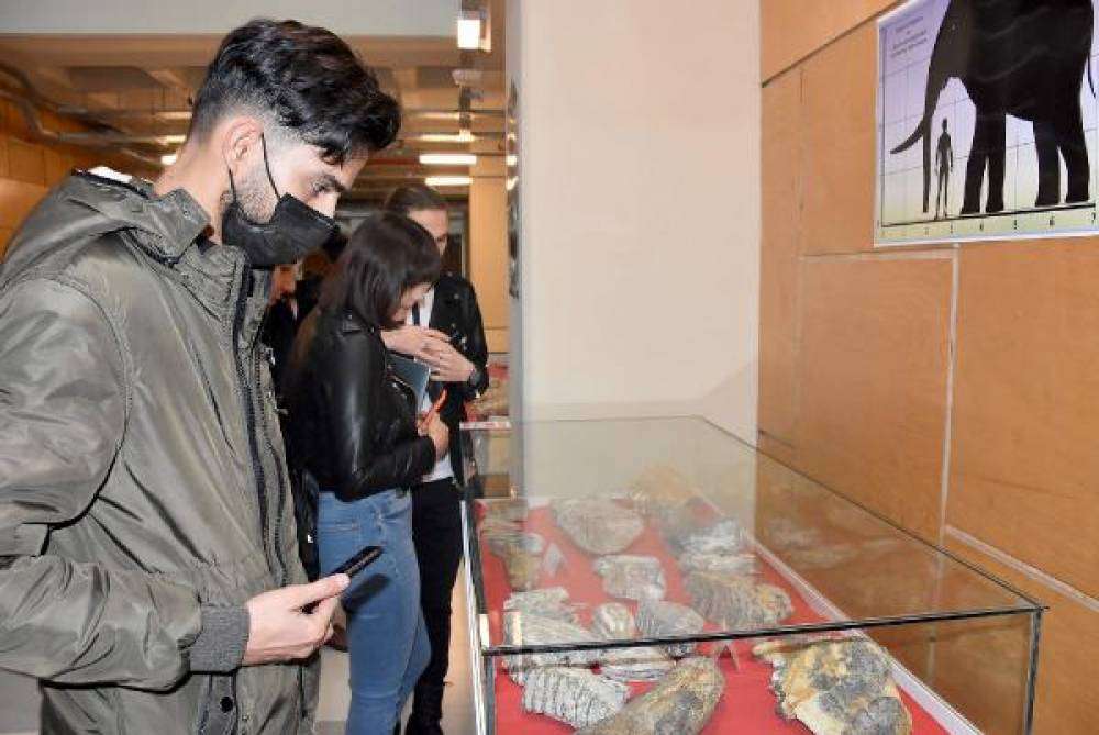 Tekirdağ'da 28 bin yıllık mamut fosilleri sergilendi 