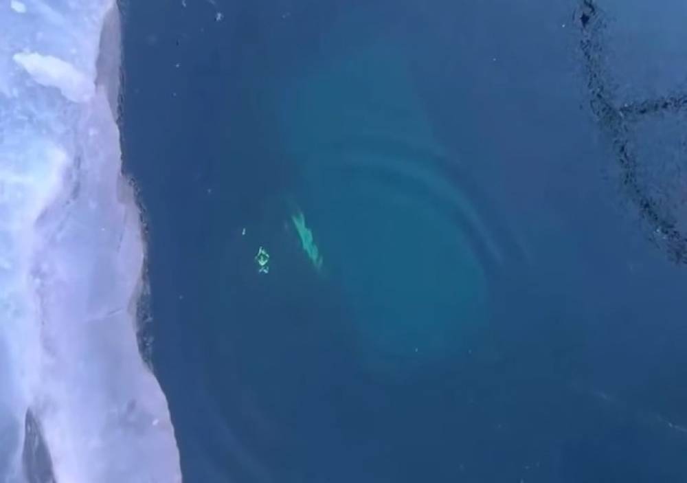  Rusya'da Baykal G&ouml;l&uuml;'nde tur aracı buzun altına d&uuml;şt&uuml;: 8 &ouml;l&uuml;