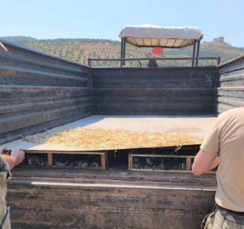 Trakt&ouml;r&uuml;n r&ouml;morkunda 2 bin 114 saka ele ge&ccedil;irildi; s&uuml;r&uuml;c&uuml;ye 19,8 milyon TL ceza kesildi