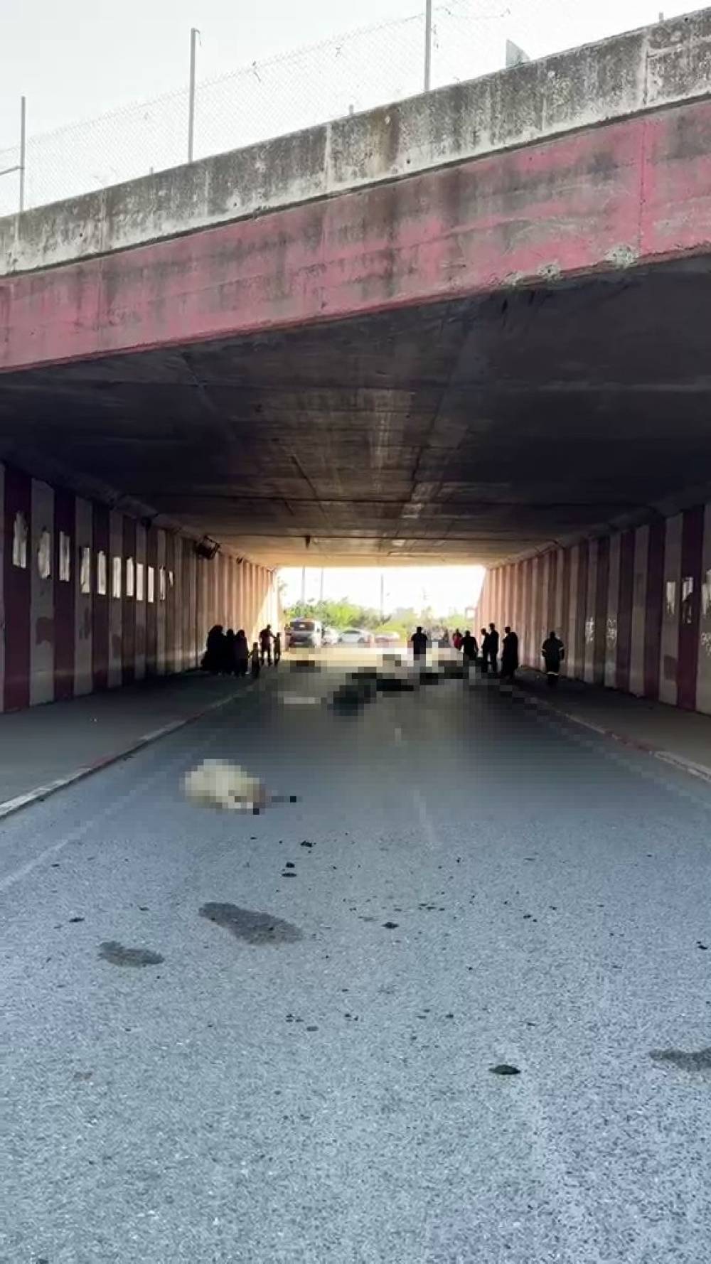 Hatay'da otomobilin &ccedil;arptığı s&uuml;r&uuml;deki 17 koyun &ouml;ld&uuml;