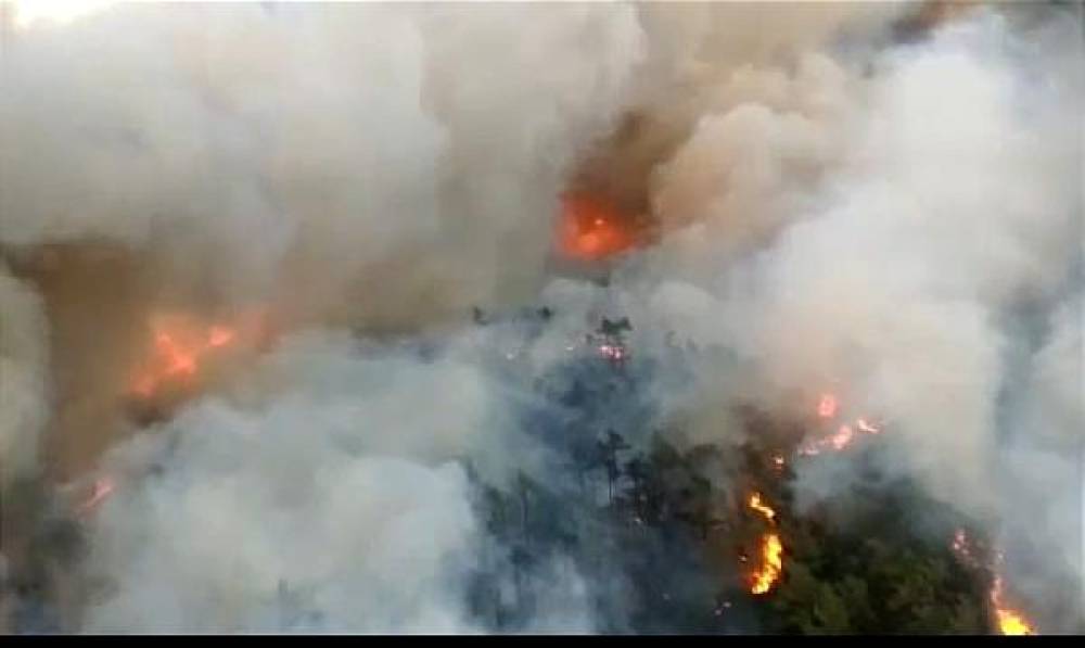 Marmaris'te orman yangını 
