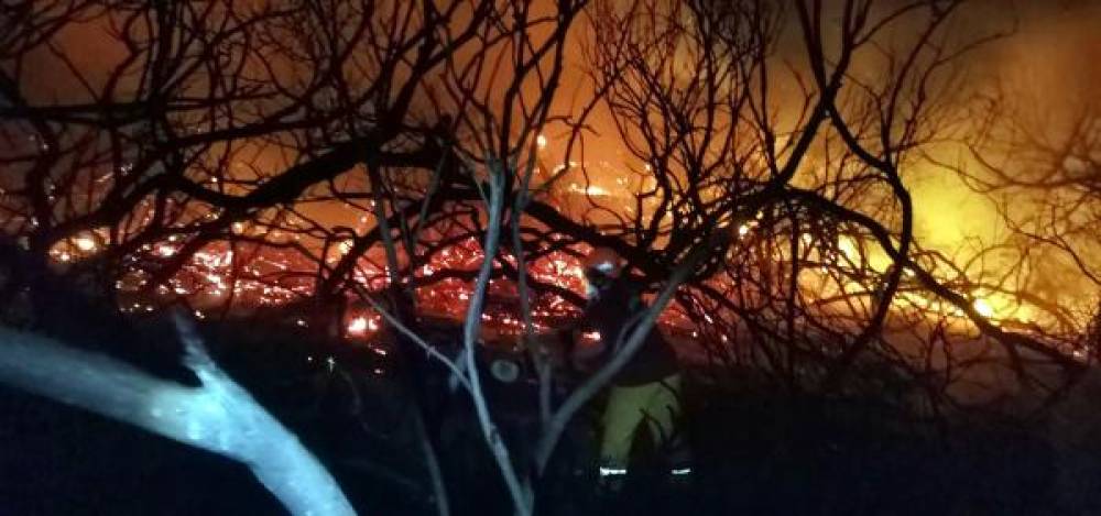 Antalya'da çay kenarındaki sazlık ve ağaçlıkta çıkan yangın, 3 saatte söndürüldü