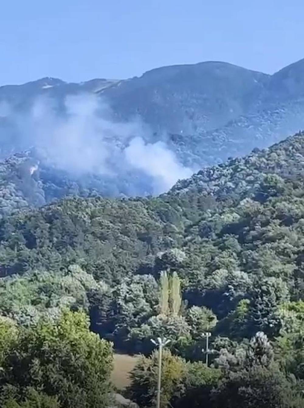 Bursa’da orman yangını; helikopterle müdahale ediliyor