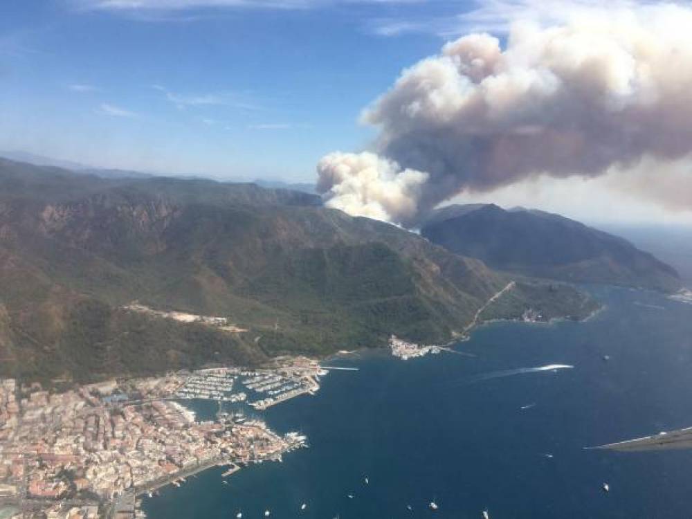 Marmaris’teki orman yangınında 500 hektar alan zarar gördü