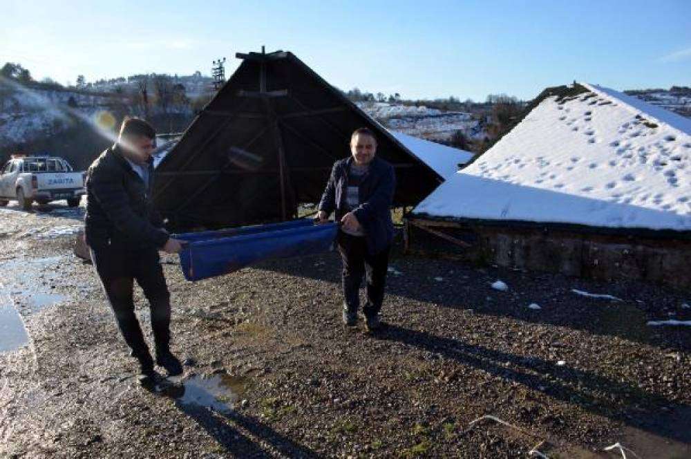 Zonguldak'ta vahşet; sokak köpeği gözleri dağlanıp, işkenceye uğradı