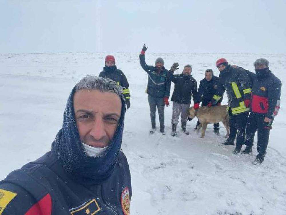 Kurtları kovalarken 15 metrelik kuyuya düşen çoban köpeği kurtarıldı