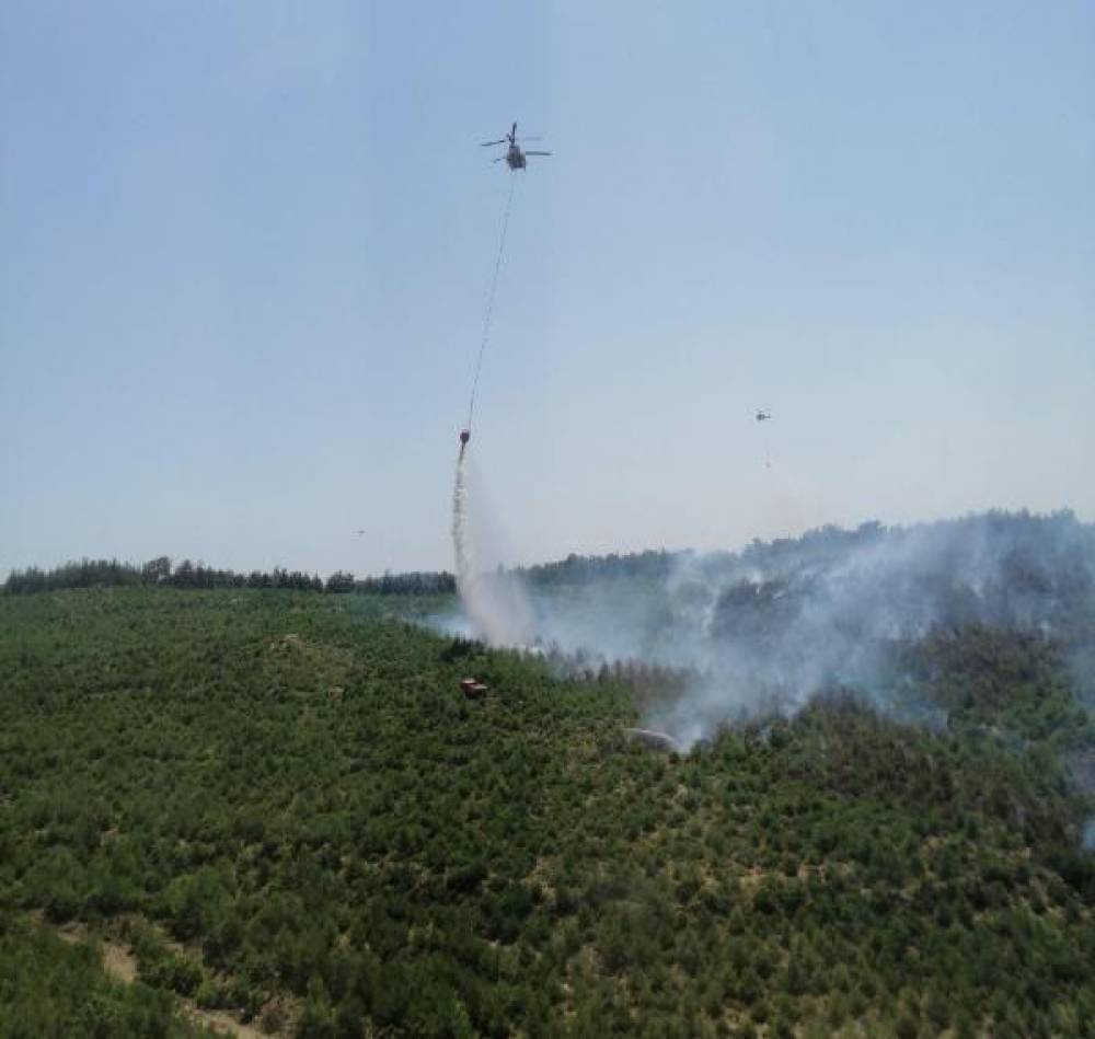 İzmir’de orman yangını 