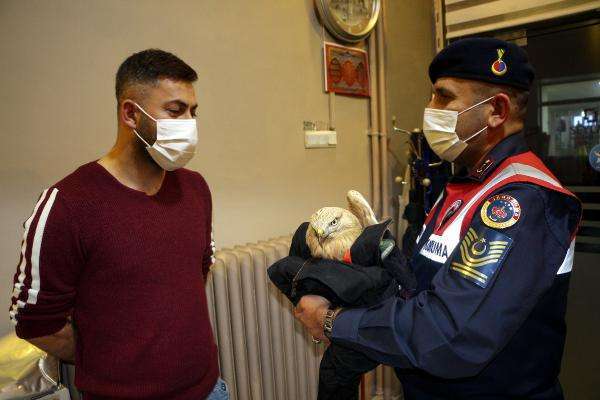 Yaralı kartalı üşümesin diye montuna sarıp jandarmaya teslim etti