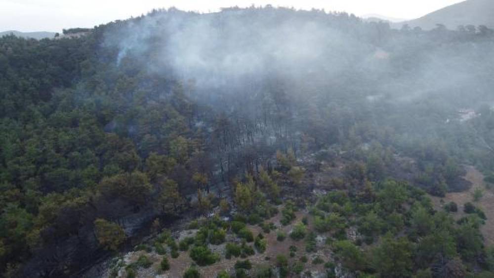 Çanakkale'deki orman yangınına 2'nci günde havadan ve karadan müdahale sürüyor