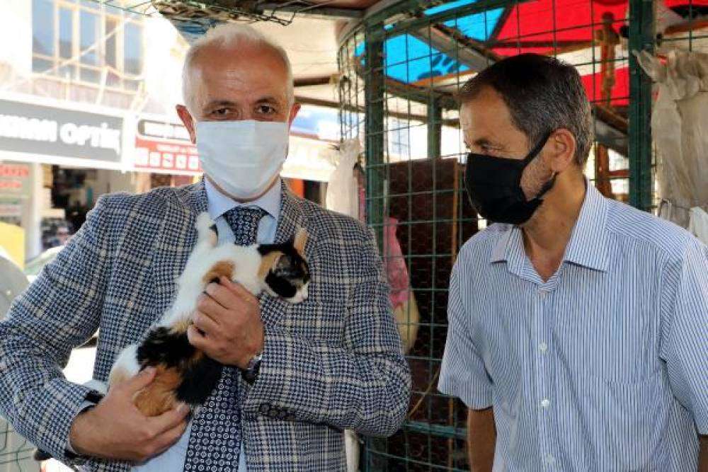 Akdeniz Belediyesi can dostlar için yuva yapıyor